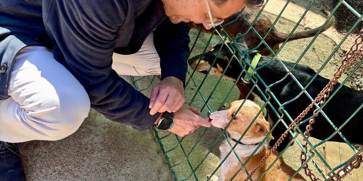 230226 Visita al Refugio Internacional de Animales abandono o desamparo (17)