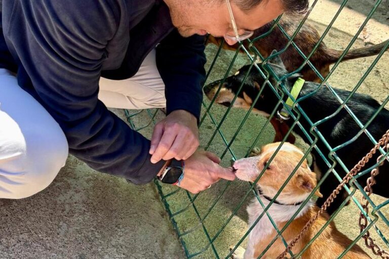 230226 Visita al Refugio Internacional de Animales abandono o desamparo (17)