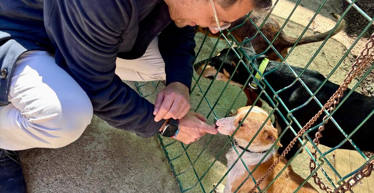 230226 Visita al Refugio Internacional de Animales abandono o desamparo (17)
