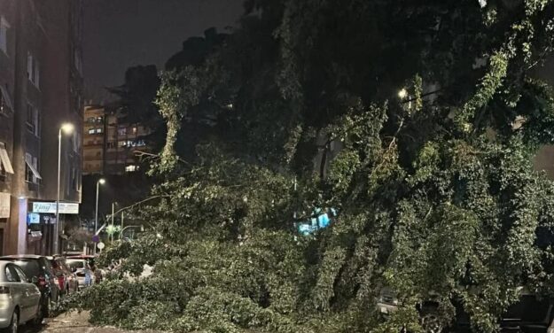 260227 Alerta Vientos 3