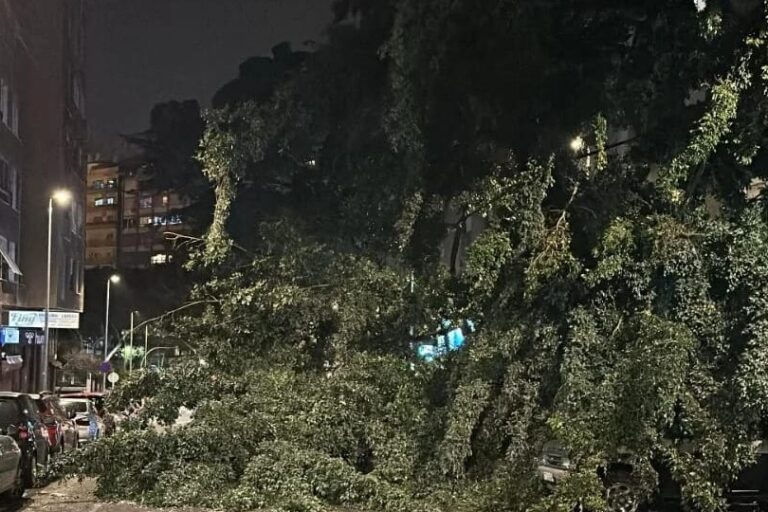 260227 Alerta Vientos 3