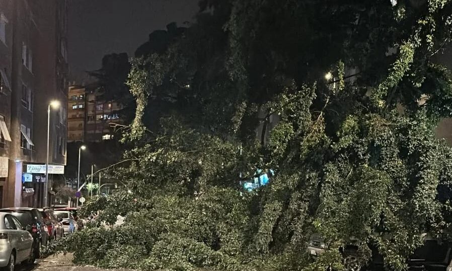 260227 Alerta Vientos 3