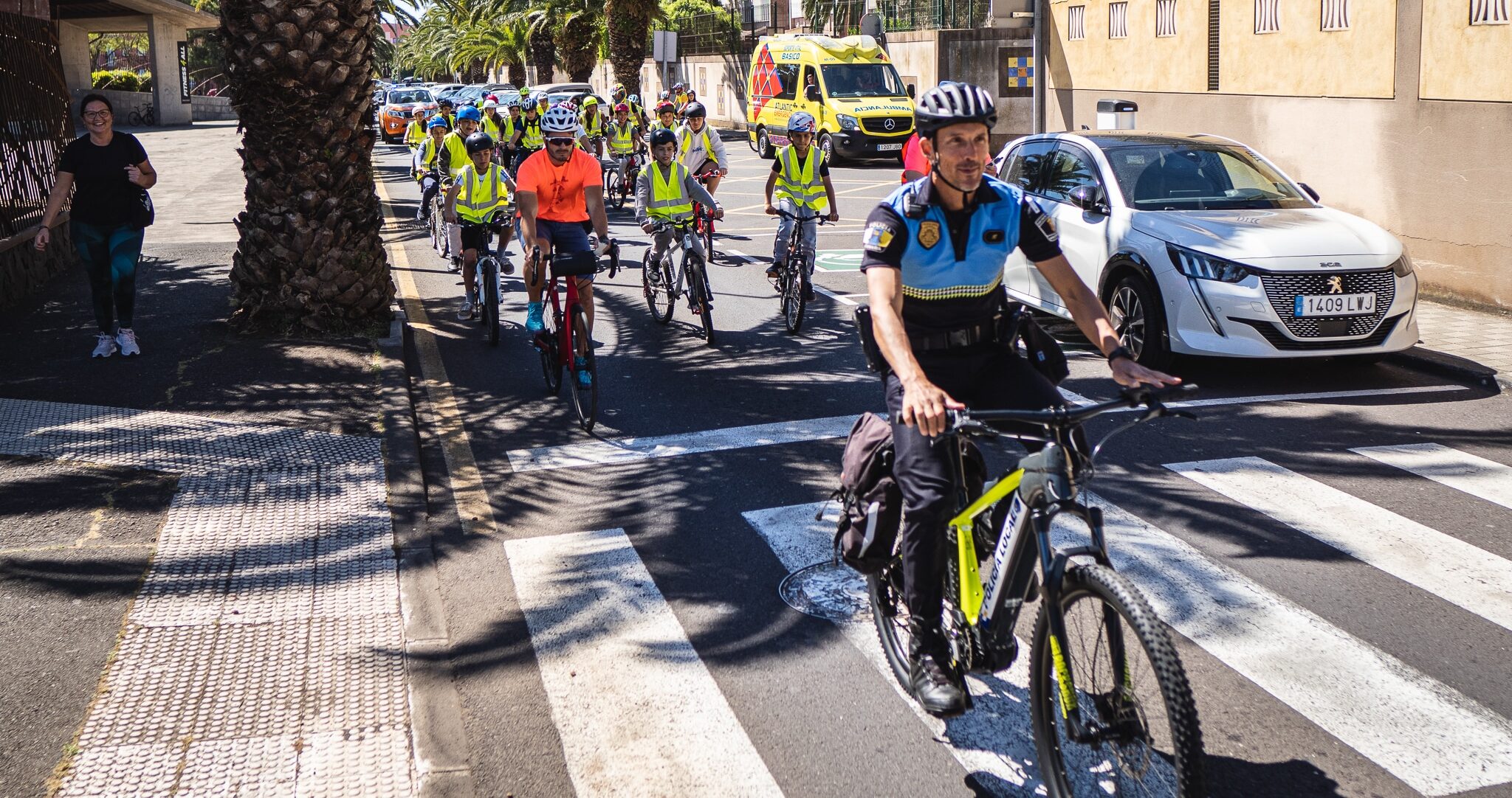 Bici B 2