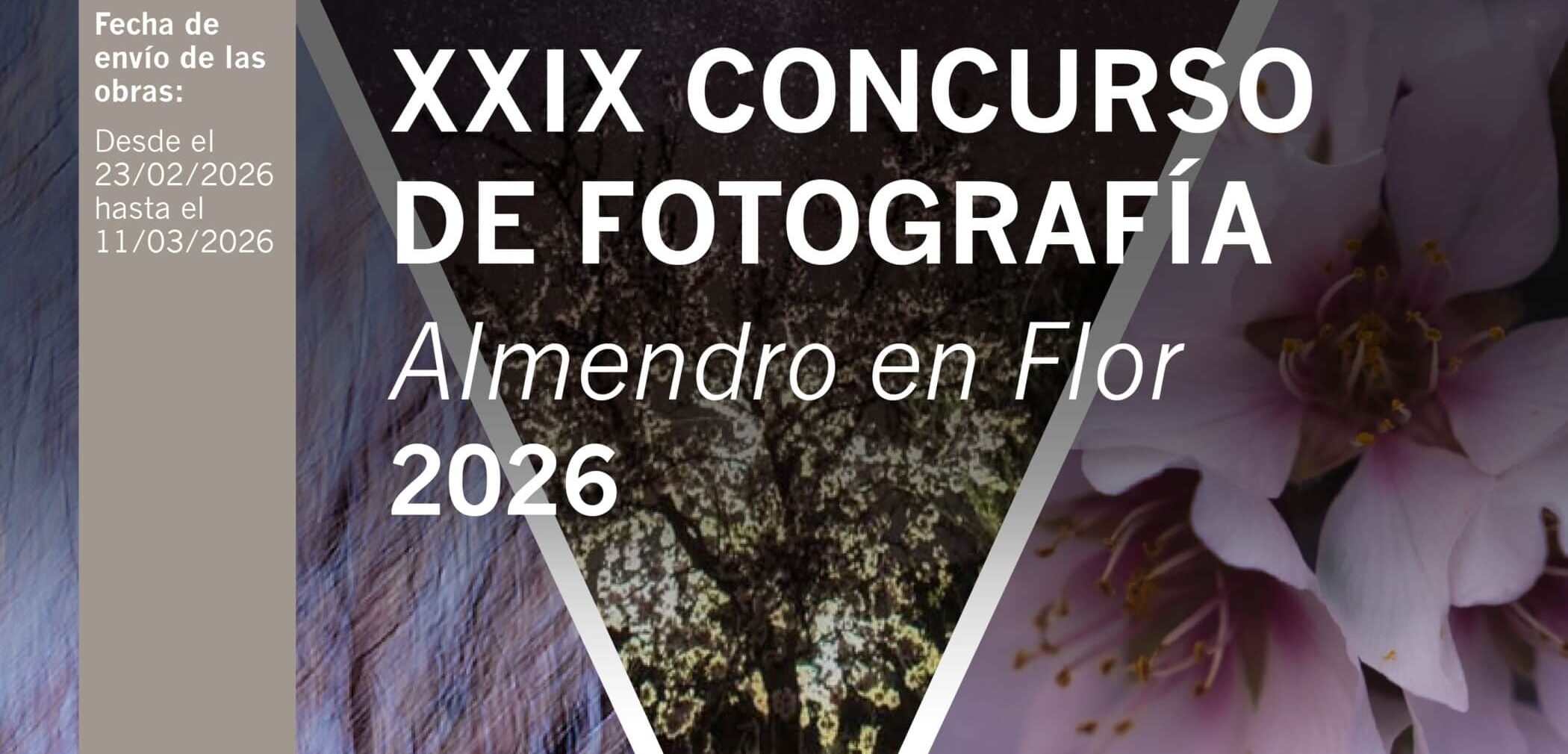 Concurso Almendro en Flor 2026-01