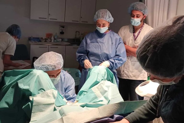 Escleroterapia quistes de ovario en consulta