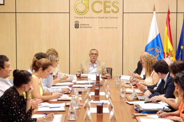Pleno del CES