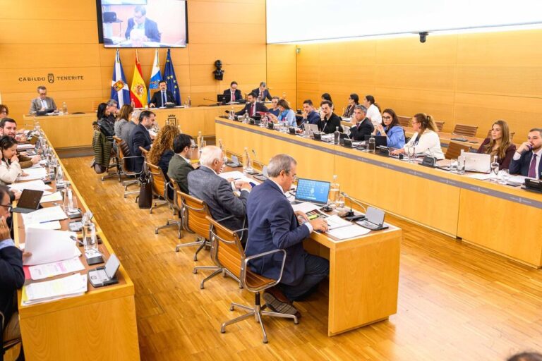 Pleno del Cabildo, hoy