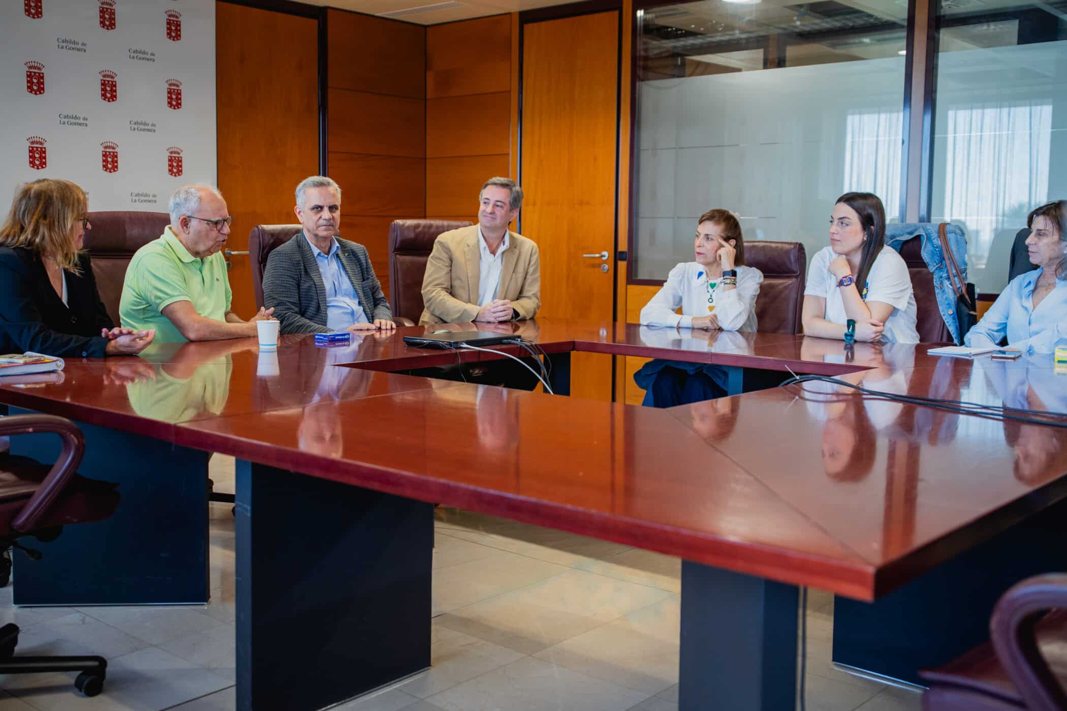 Representantes insulares, del Colegio de Farmacéuticos, y farmcéuticas de la isla en reunión
