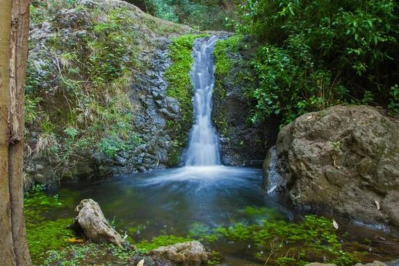 SENDERISTA HERIDA TRAS CAER EN EL BARRANCO DE AZUAJE-MOYA 3-2-26