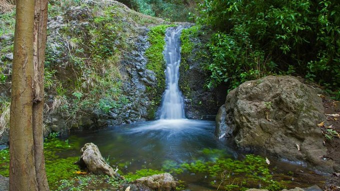 SENDERISTA HERIDA TRAS CAER EN EL BARRANCO DE AZUAJE-MOYA 3-2-26