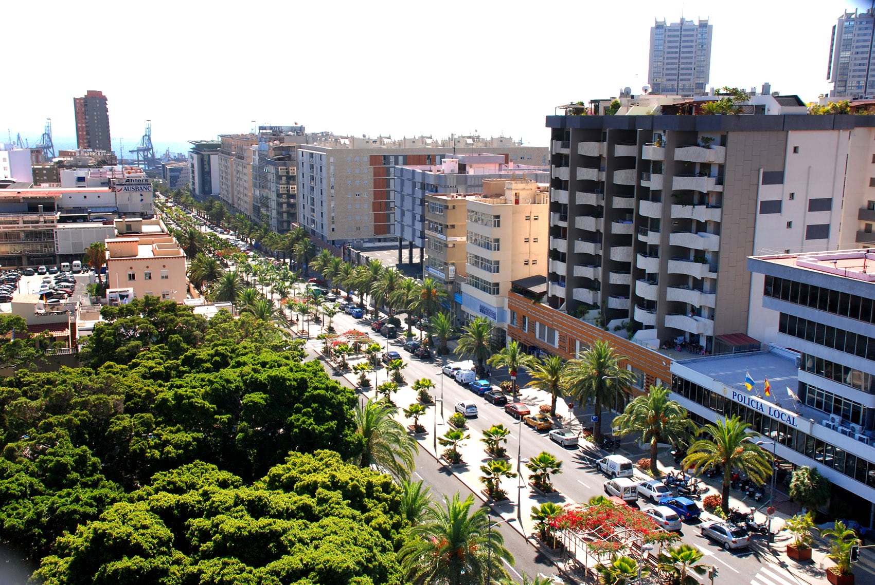Santa Cruz