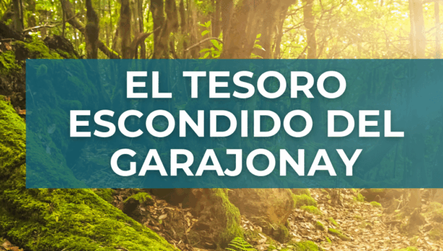 160326 CARTEL – TESORO ESCONDIDO DEL GARAJONAY