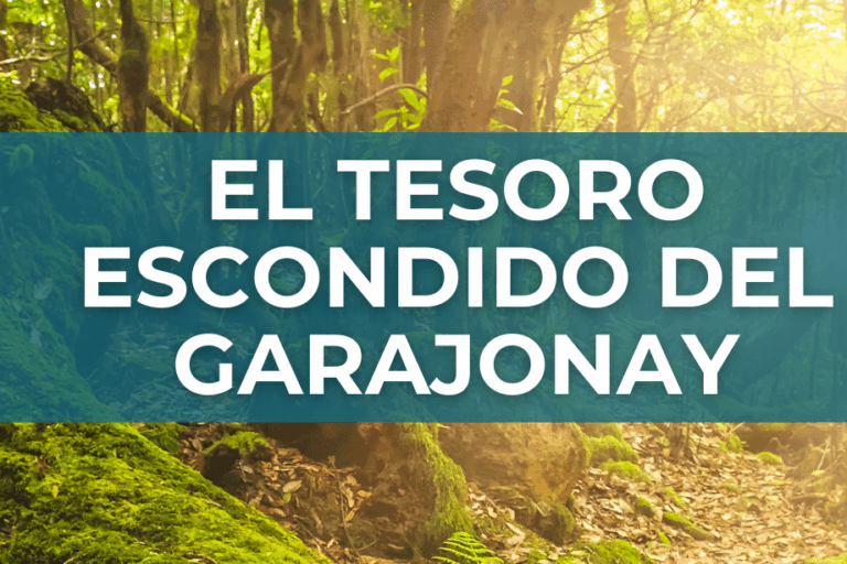 160326 CARTEL – TESORO ESCONDIDO DEL GARAJONAY