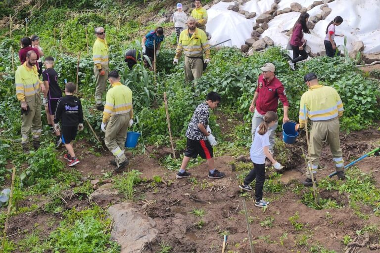 170326 alumnado del CEO Mario Lhermet (Hermigua) participa en las labores de reforestación con especies nativas tras la eliminación de cañaverales invasores