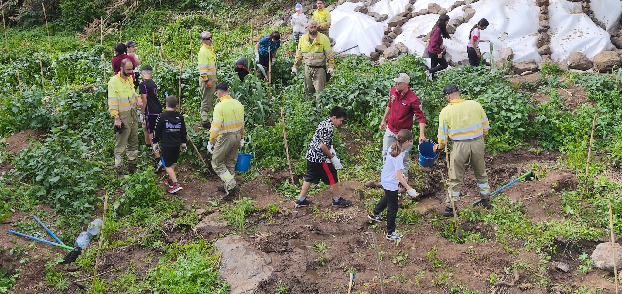 170326 alumnado del CEO Mario Lhermet (Hermigua) participa en las labores de reforestación con especies nativas tras la eliminación de cañaverales invasores
