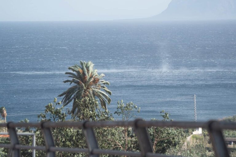 190326 Vientos y fenómenos costeros adversos en La Gomera (1)