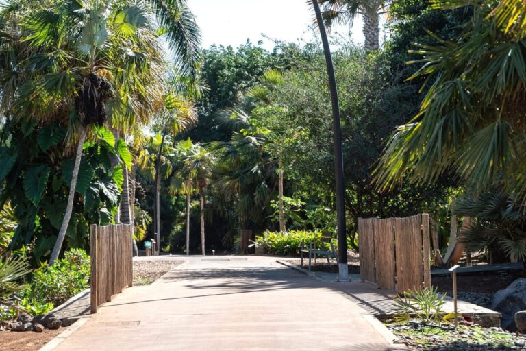 260309 Palmetum