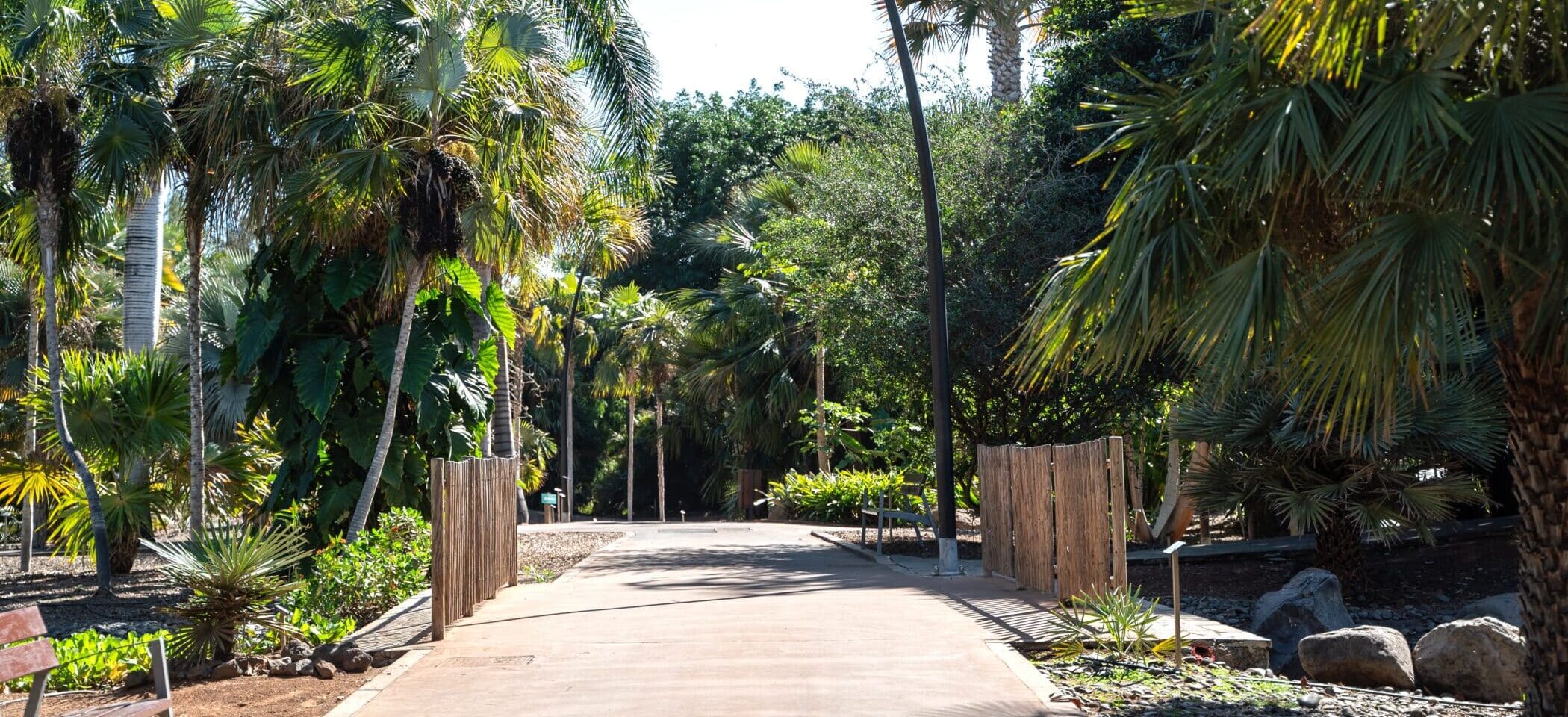 260309 Palmetum