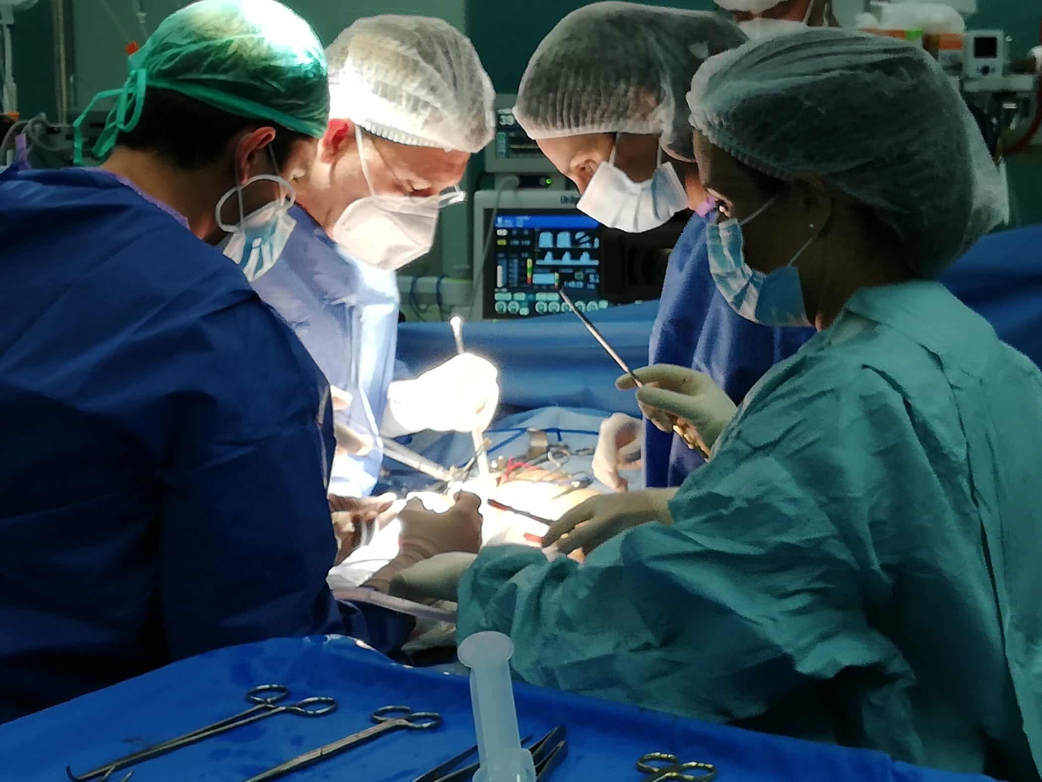 5MARTx renal de vivoHUC