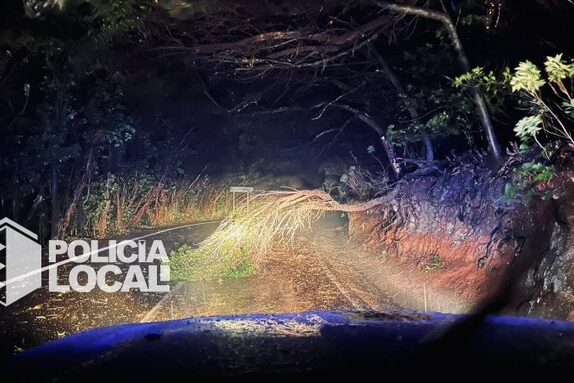 CAÍDA DE RAMAS SOBRE LA CALZADA 22-3-26