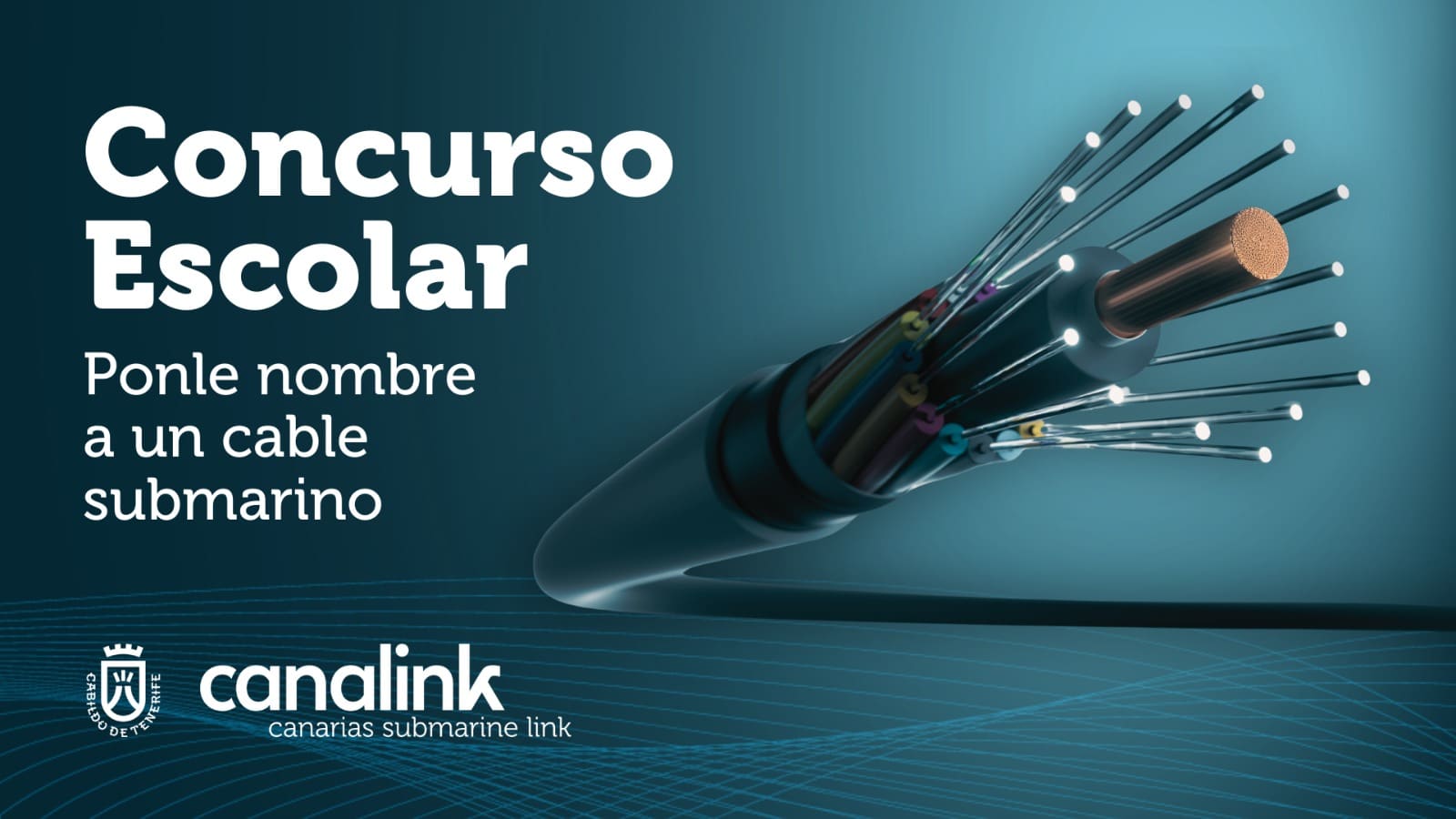 CONCURSO CABLE 2