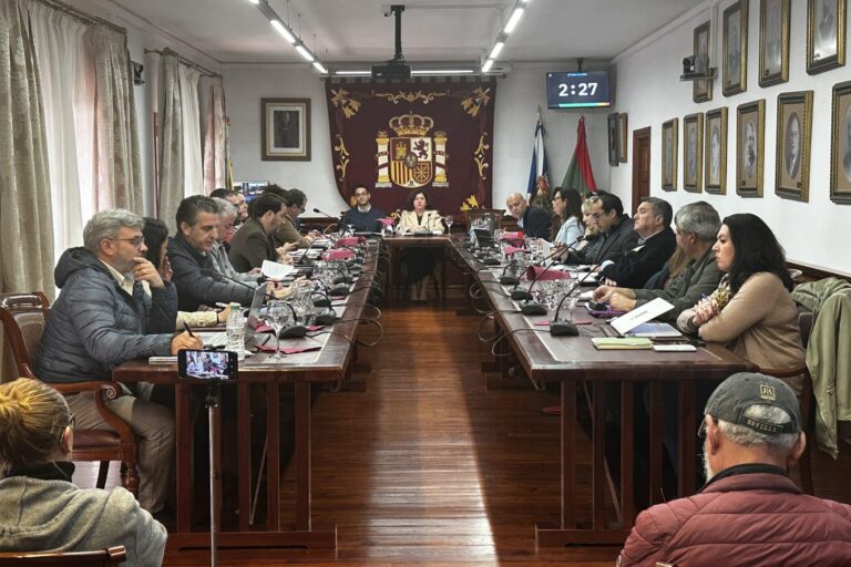 PLENO TACORONTE 26 DE MARZO
