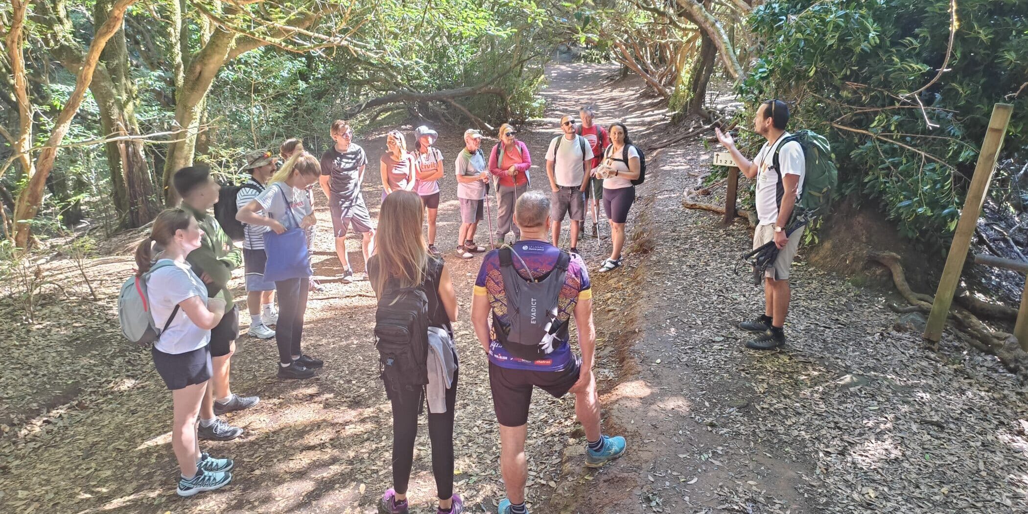 Talk and walk