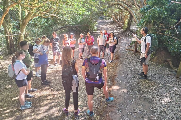 Talk and walk