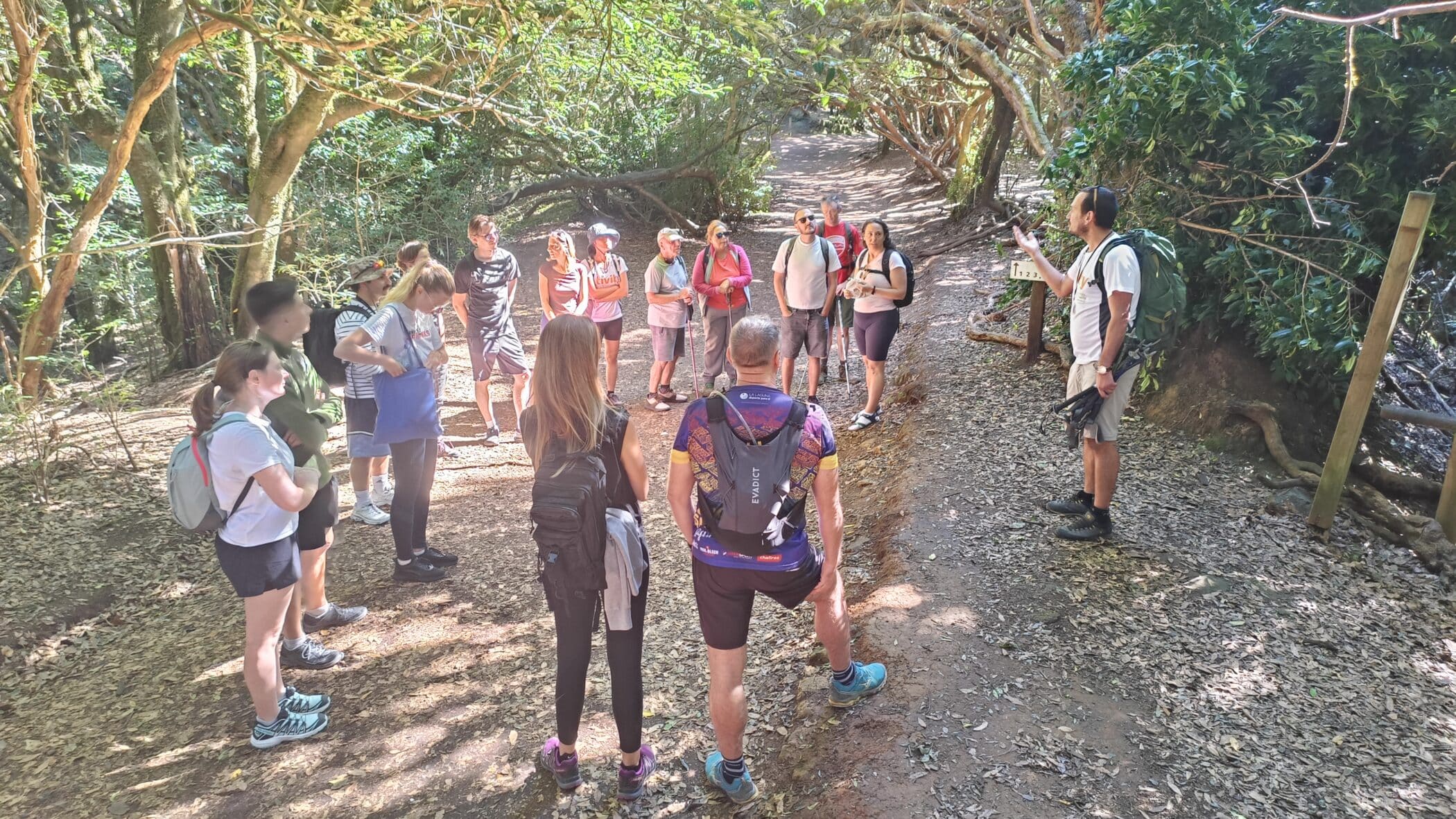 Talk and walk