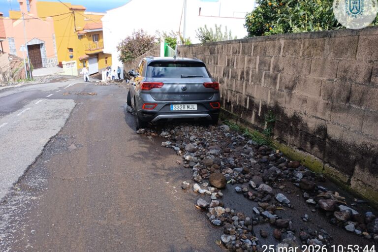 WhatsApp Image 2026-03-25 at 11.52.46