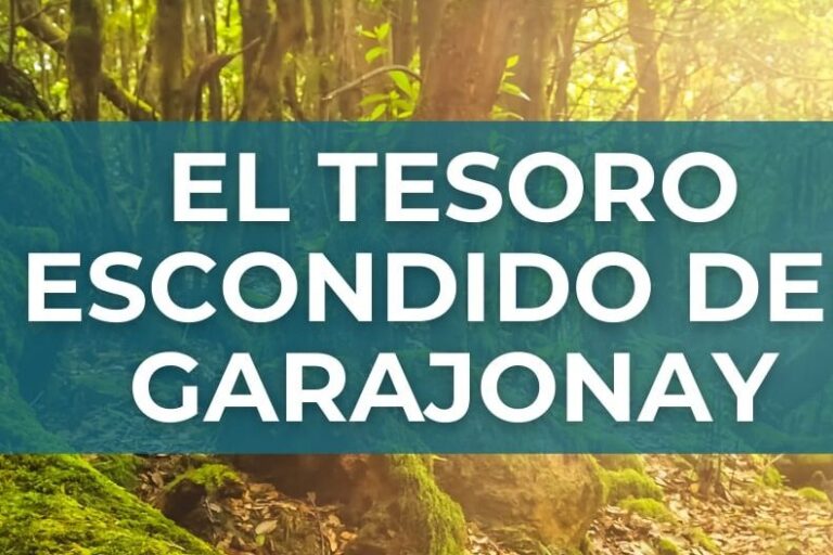 130426-cartel-tesoro-escondido-del-garajonaypng (1)