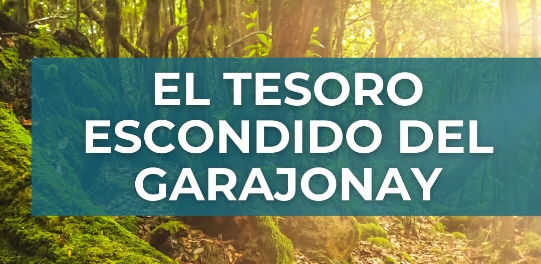 130426-cartel-tesoro-escondido-del-garajonaypng (1)
