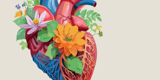 220426 Cartel charla informativa Congreso Cardiología La Gomera