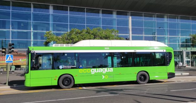 260401 Guaguas en Santa Cruz