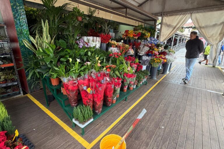 Accesibilidad Mercado de La Laguna_6