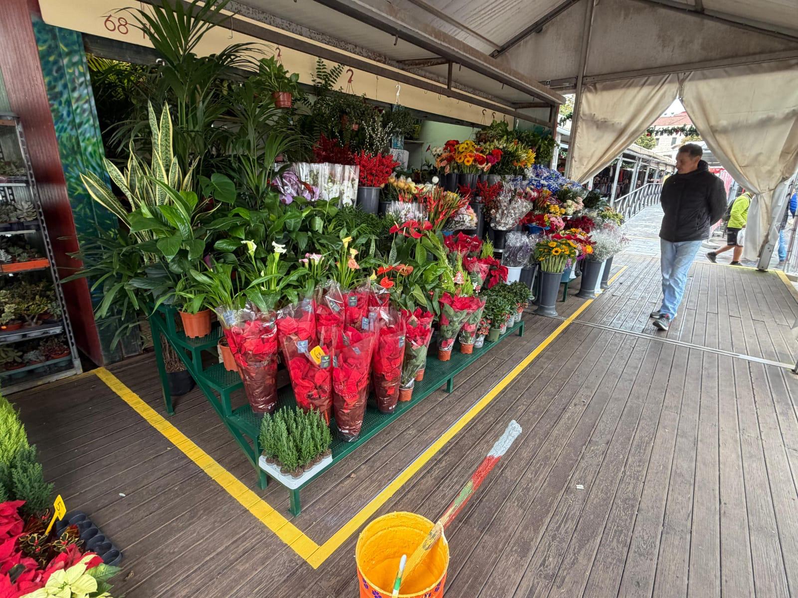 Accesibilidad Mercado de La Laguna_6