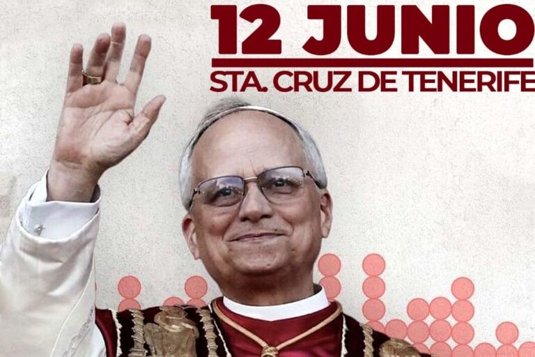 Cartel Papa León XIV
