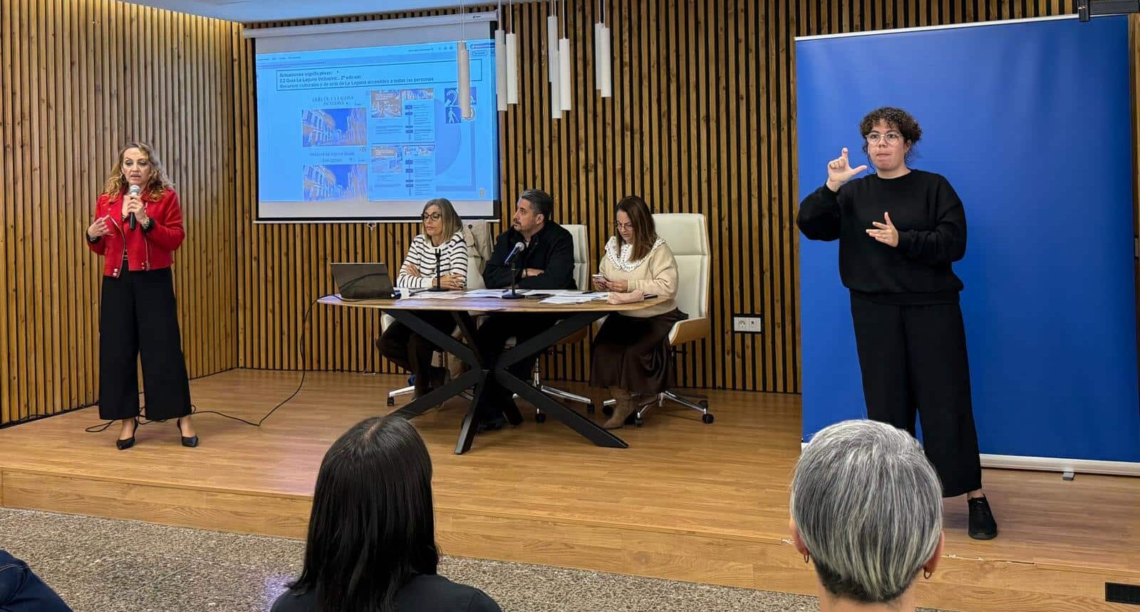 Consejo Discapacidad 2