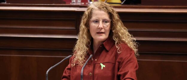 Diputada Raquel Díaz