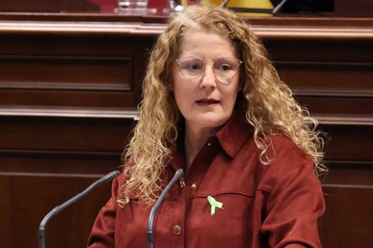 Diputada Raquel Díaz