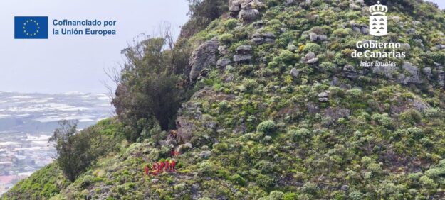 EVACUADO POR EL HELICÓPTERO DEL GES UN SENDERISTA HERIDO EN TEGUESTE 5-4-26