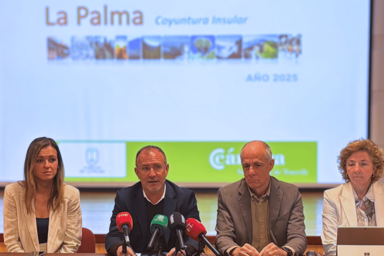 El Infome Anual de Economía de La Palma se presentó en Los Llanos de Aridane (2)