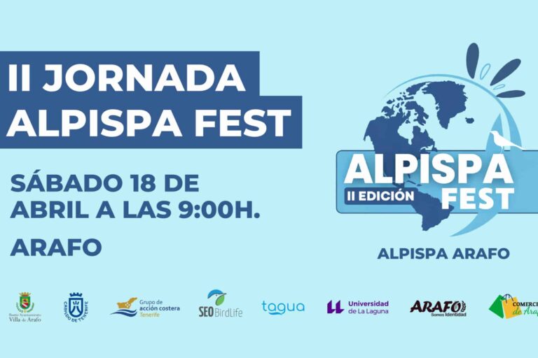 FONDO BANNER.jpg (1)