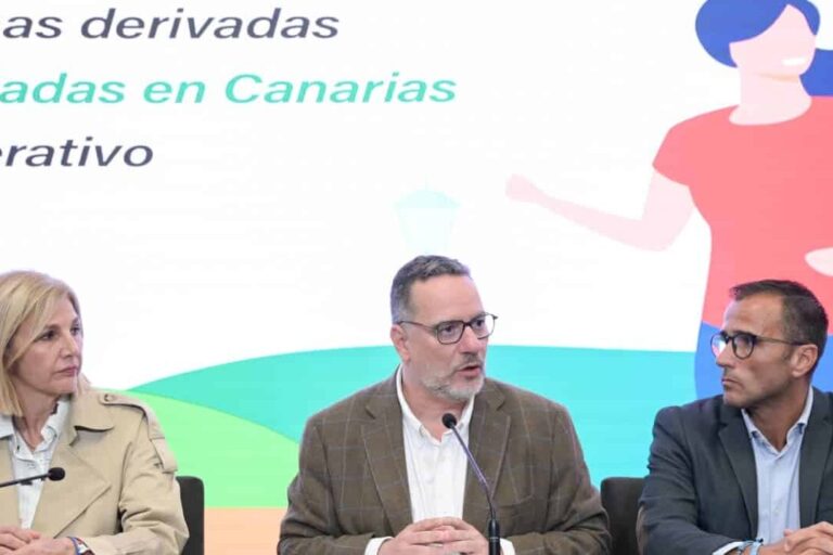 FOTO. Poli Suárez presenta ACTIVÍDATE ante los municipios canarios (1)