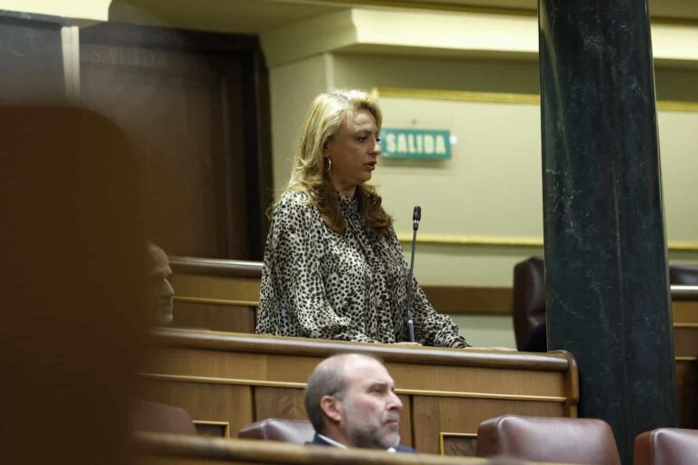 Pleno_19112025_2