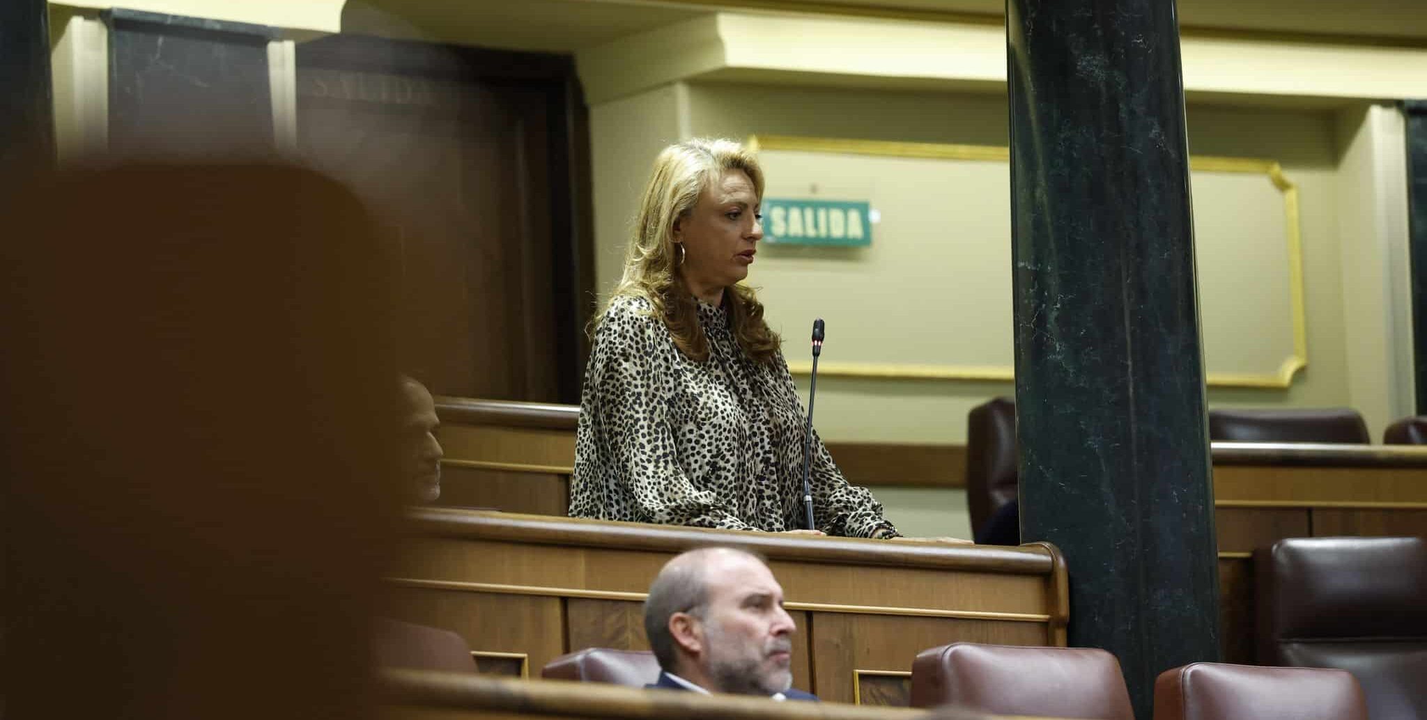 Pleno_19112025_2
