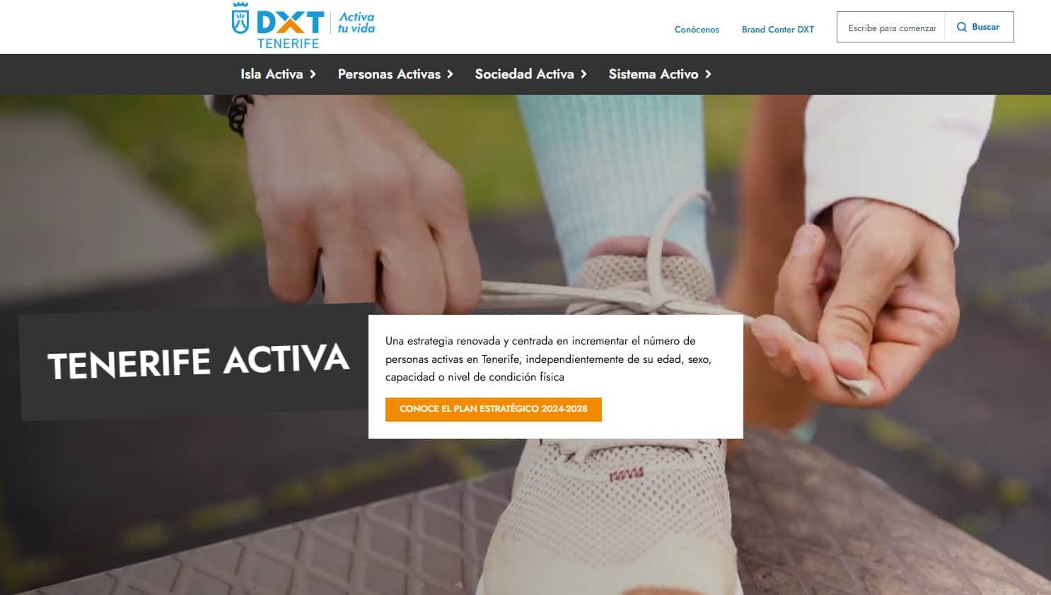 Web DXT 1