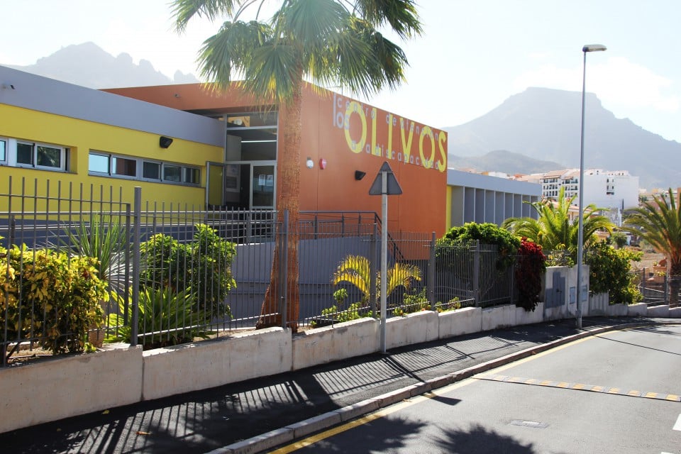 centro atendcion a la diversidad los olivos