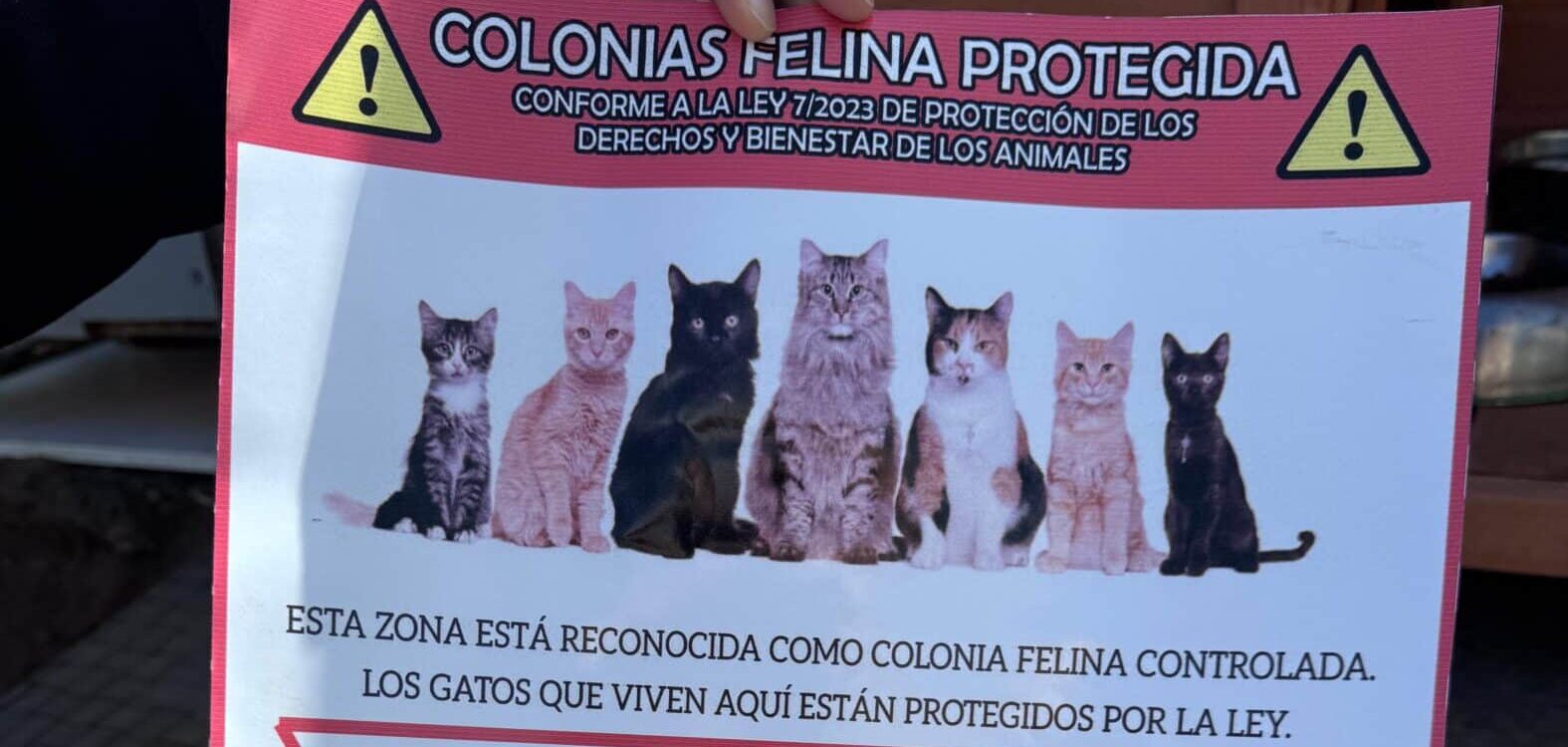 080526 Instalaci�n casetas bienestar animal en colonias felinas (4)