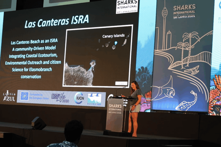 Mayte Asensio Elvira – Sharks International 2026